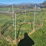 dog run Image 2