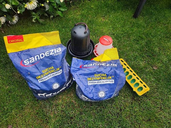 Chicken feeding and disinfectant.