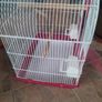 pink bird cage Image 3