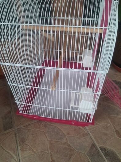 pink bird cage