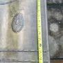 Brass Coal/ Fuel Bucket Image 6