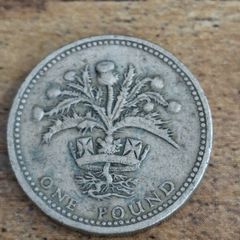Great Britain UK 1984 One Pound Elizabeth II Coin, Scottish Thistle - free standard postage