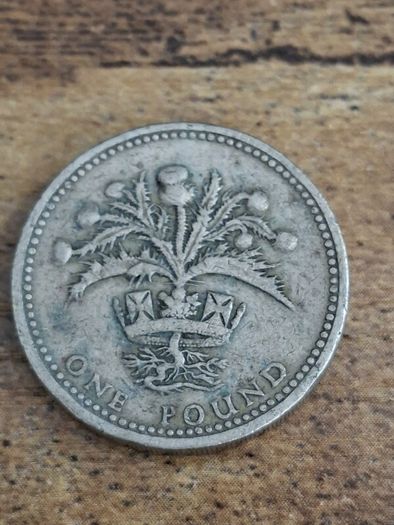 Great Britain UK 1984 One Pound Elizabeth II Coin, Scottish Thistle - free standard postage