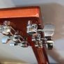 Semi Acoustic Guitar Image 5