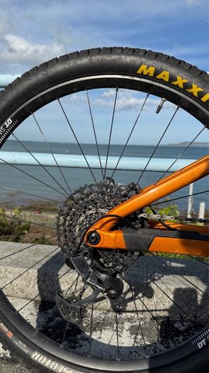 Orbea Occam XL