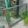 dog run Image 4