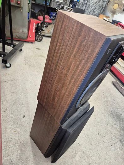 Bose Interaudios 2 Speakers.