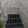 Dog crate medium Image 3