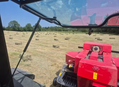 Square bales of hay and Straw