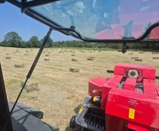 Square bales of hay and Straw