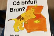 Irish language children's book