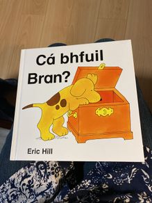 Irish language children's book