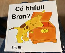 Irish language children's book