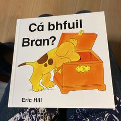 Irish language children's book