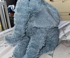 Large Jelly Cat