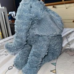 Large Jelly Cat