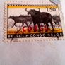 Belgian Congo stamps 1956. Image 4