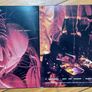 RARE Alice in Chains Jar of Flies/Sap 2010 2LP Orange/Blue Vinyl Image 3