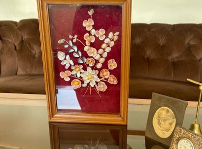 Vintage Mid Century Sea Shells in a Teak Shadow Box with Floral Design