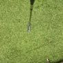Wilson double milled x7 putter Image 3