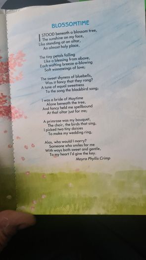 BEAUTIFUL ILLUSTRATED. THE FIRESIDE BOOK. 1995.POEMS OLD AND NEW EACH BEAUTIFULLY illustrated by a full page painting special commission to capture the flavour of the words. Hardback With Dustjacket In Very Good Condition.
