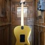 Dewey Decibel Flipout Reverse Strat 2004 Image 2