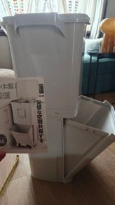 Dual compartment waste Bin