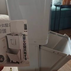 Dual compartment waste Bin