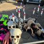 Large Halloween Job Lot. Image 4