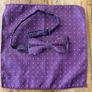 Set of 2 Polka Dot Dickie Bows and Matching Pocket Squares Image 3