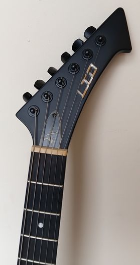 James Hetfield Vulture LTD by ESP