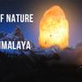 Himalayan Original 7 Multi Coloured Himalayan Salt Lamp Image 10