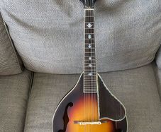 mandolin