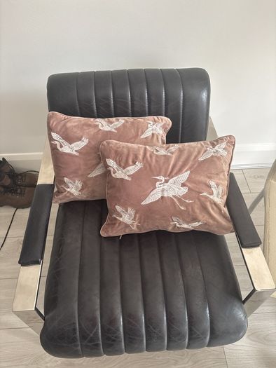 Decorative Pillows