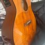 Tanglewood Electro Acustic Guitar Image 4