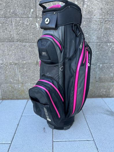 Full set of ladies golf clubs