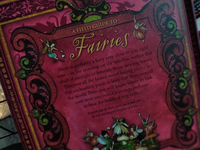 A Field Guide To Fairies ! Beautiful Pop-up Book ! Hardcover ! 2009 ! by Kingfisher !