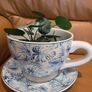 Large cup and saucer pot from Denby Image 6