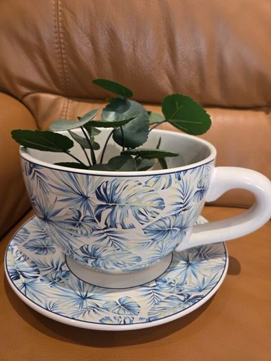 Large cup and saucer pot from Denby