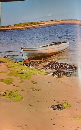 Ireland