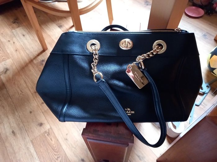 ladies handbag