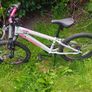 mountain bike Image 5