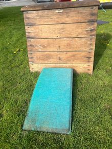 Springboard and horse