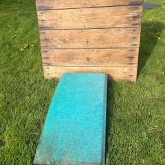 Springboard and horse