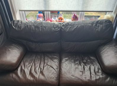 Free leather sofa