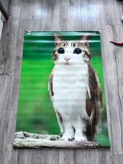 Meowl Poster