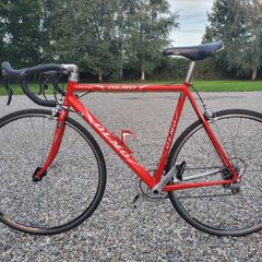 Olmo San Remo