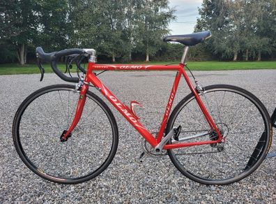 Olmo San Remo