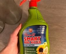 Bug killer