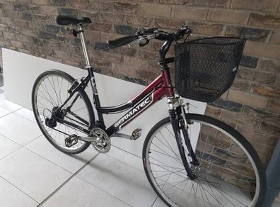 ladies hybrid bike
